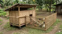 5 Desain Kandang Ayam dengan Jalur Jalan Biar Ayam Tidak Malas dan Lebih Aktif Bergerak