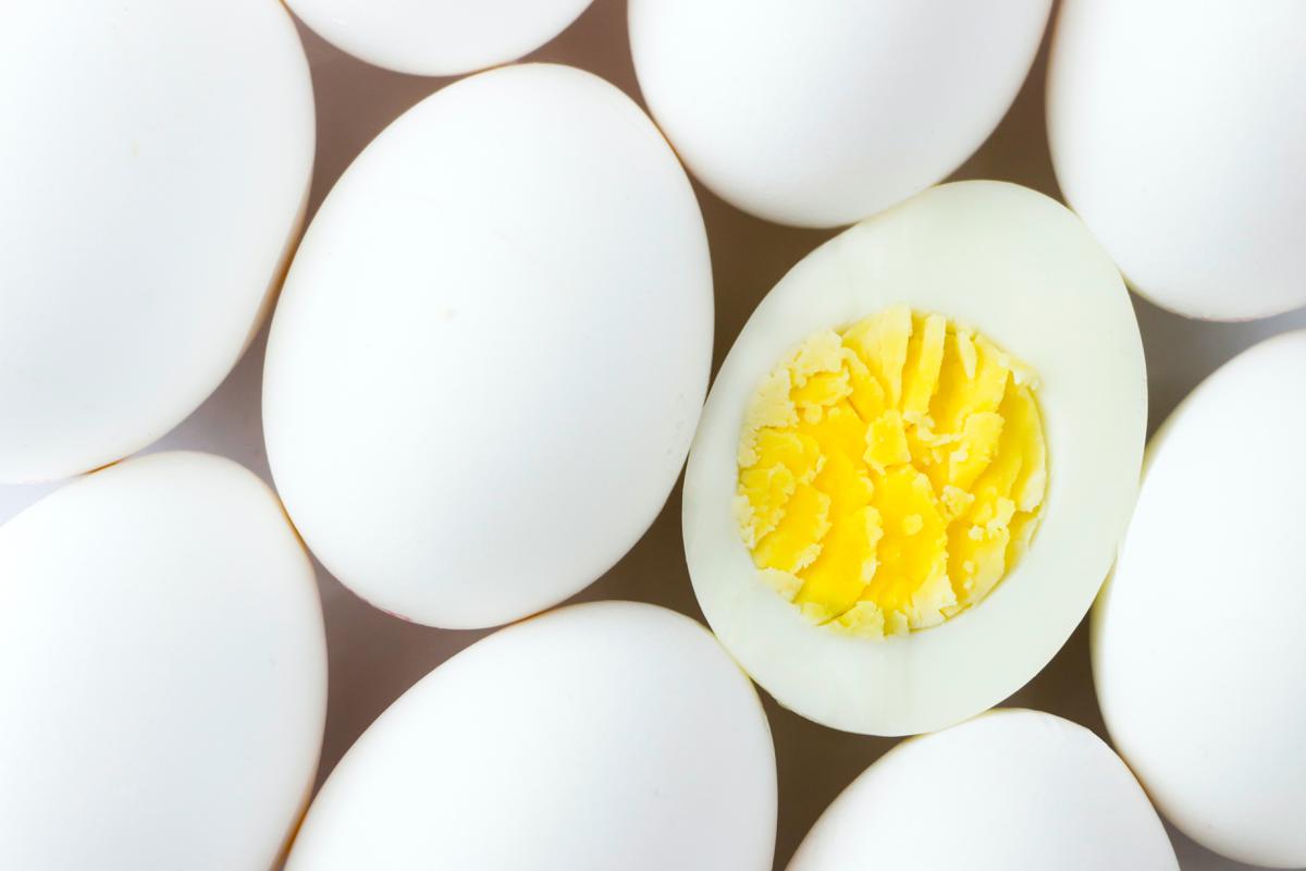Protein-Packed Low Calorie Snacks