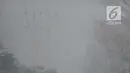 Sejumlah kendaraan melintas saat kabut asap menyelimuti Kota Pekanbaru, Riau, Selasa (10/9/2019). Kabut asap akibat kebakaran hutan dan lahan (karhutla) tersebut menurunkan jarak pandang dan kualitas udara turun ke status tidak sehat. (Liputan6.com/Faizal Fanani)