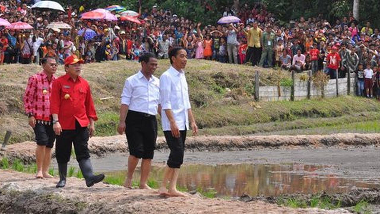 Mentan kaget dilimpahkan pertanyaan oleh Jokowi soal ekspor beras