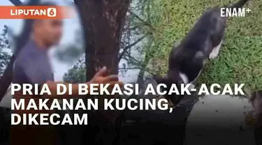 Media sosial dibuat kesal oleh ulah seorang pria di Bekasi yang mengganggu kucing jalanan. Insiden bermula dari seorang warga yang memberi makan ke kucing-kucing di Perumahan Kemang Pratama pada Minggu (4/8/2024). Namun seorang pria yang tengah berol...