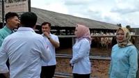 Pengurus Apkasi mengunjungi salah satu peternakan sapi di Lampung. (Ist)