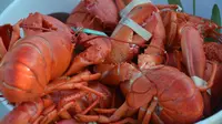 Lobster | Via: istimewa