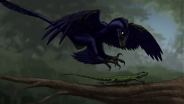 microraptor
