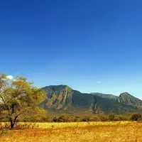 Lanskap yang memukau di Taman Nasional Baluran buat kamu serasa ada di Afrika.