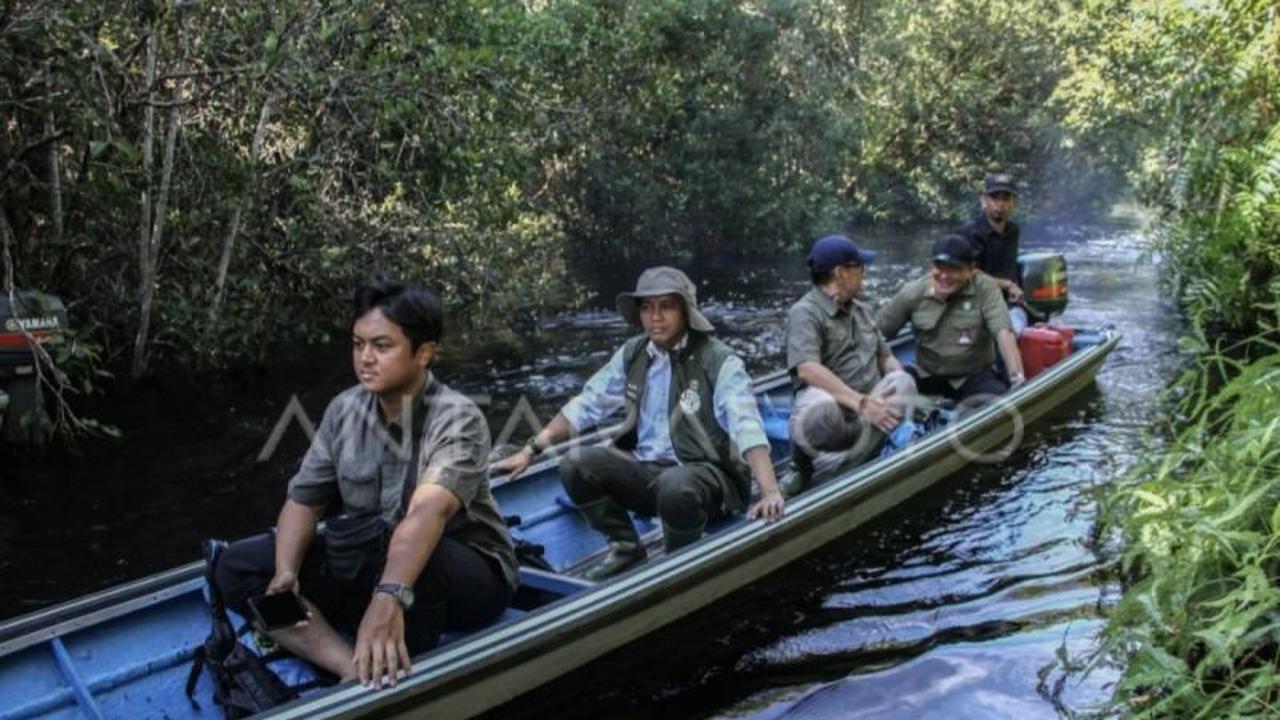 Strategi Pembangunan Berkelanjutan Kalteng: Siapkan RPPLH dan DDDTLH