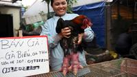 Seorang wanita memegang ayam Dong Tao untuk dijual di rumahnya di Provinsi Hung Yen, Vietnam, 10 Januari 2023. Jenis ayam endemik ini bisa kamu temukan di wilayah Khoai Chau atau sekitar 30 kilometer dari Hanoi, Vietnam. (Nhac NGUYEN/AFP)