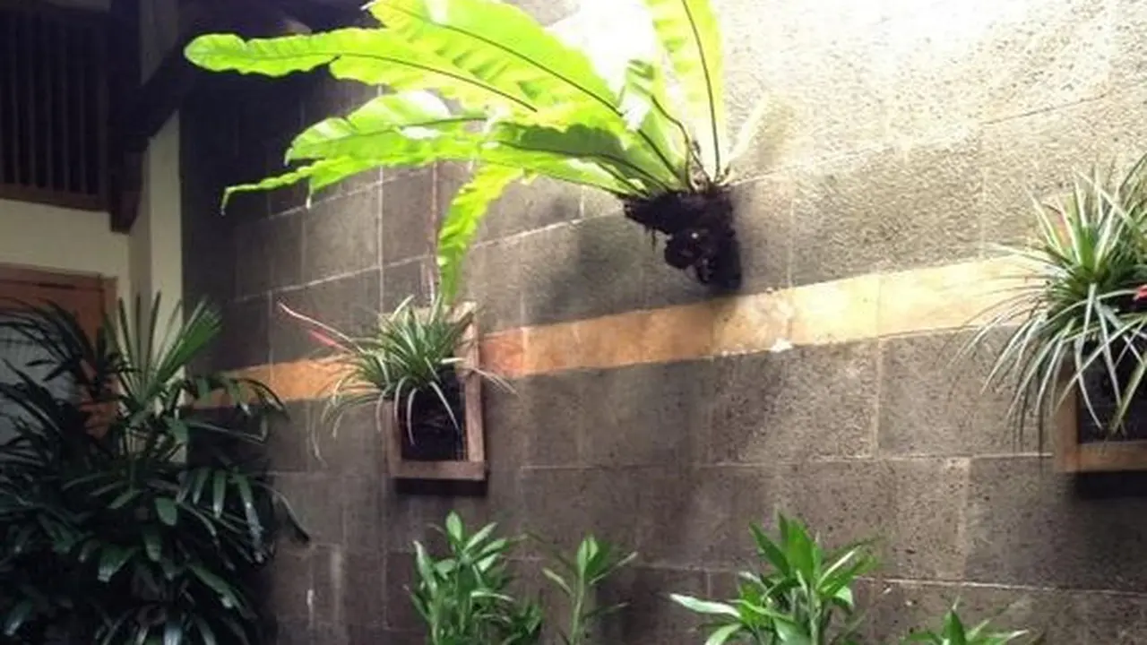 Taman Bali Minimalis Sederhana