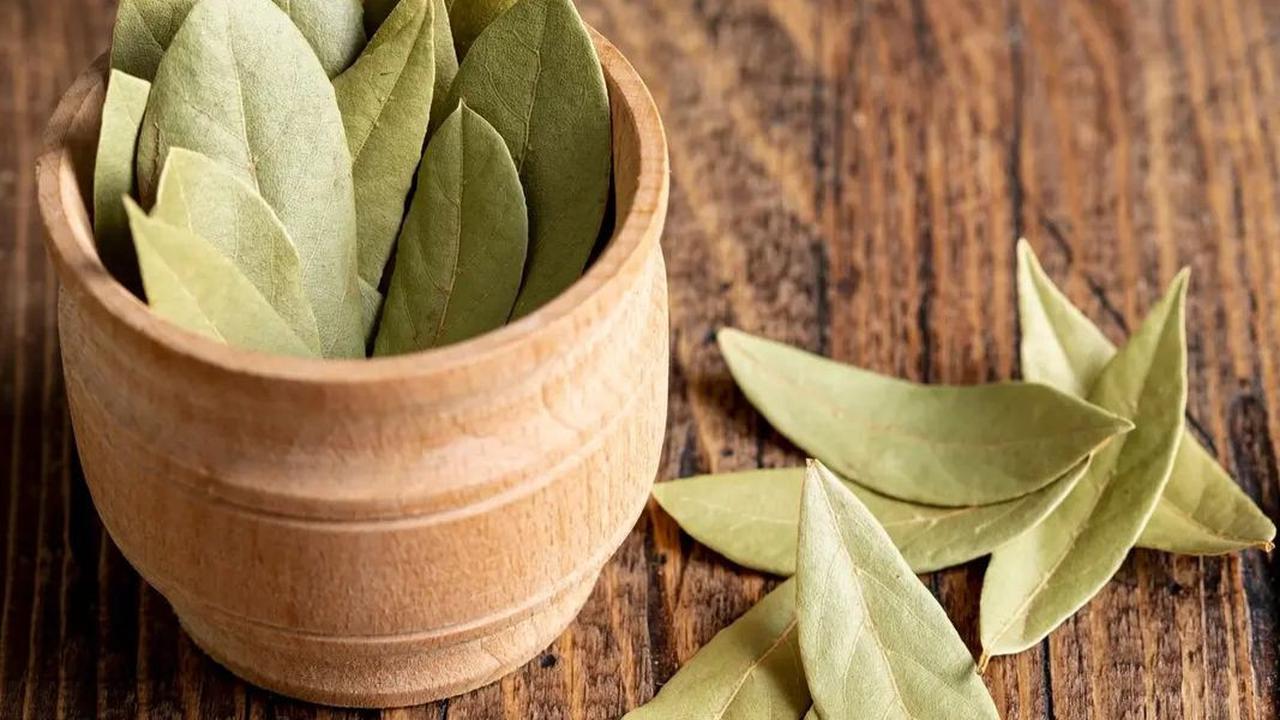 Manfaat Daun Salam untuk Menurunkan Kolesterol dan Mengelola Gula Darah