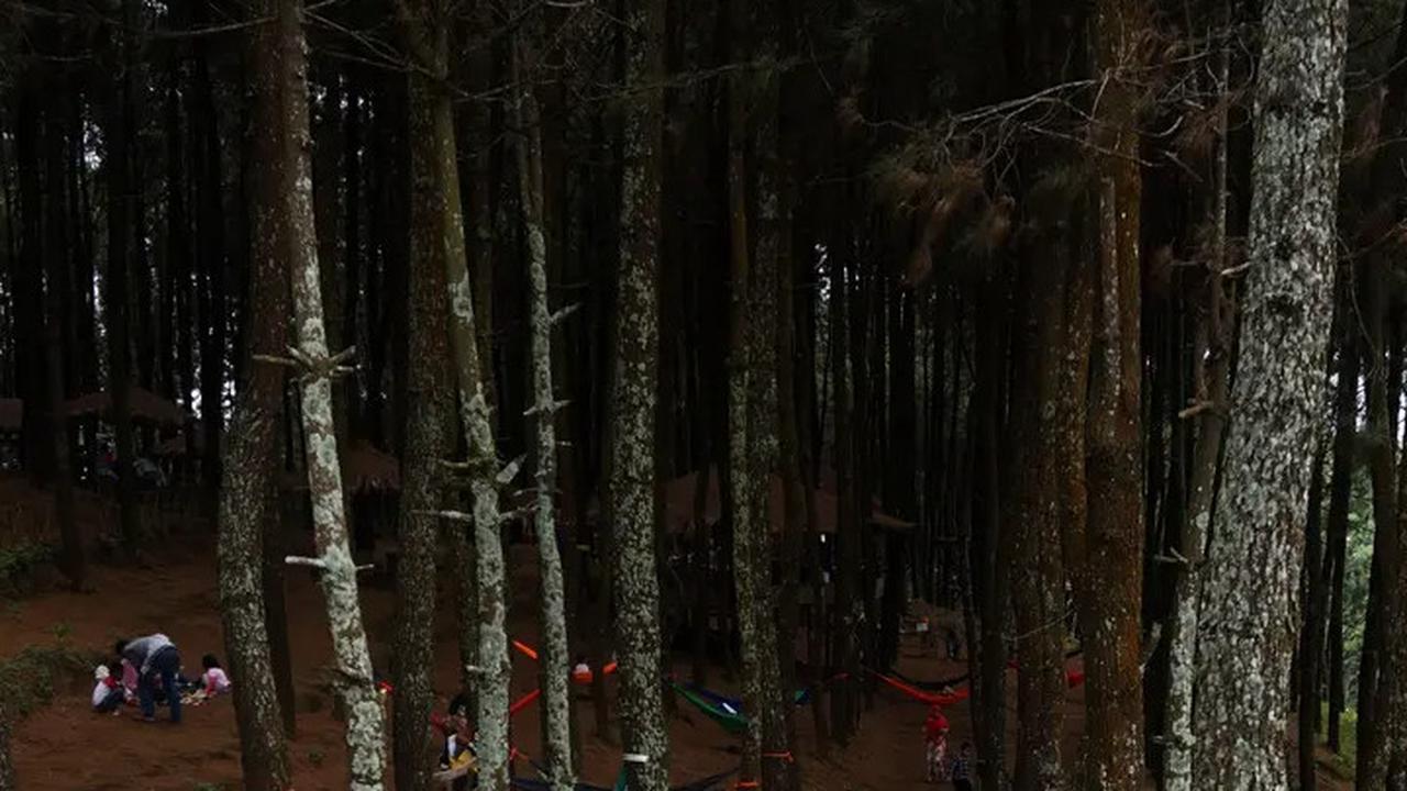 Area camping favorit di Gunung Burangrang Purwakarta