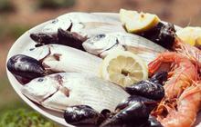 Seafood yang Tidak Mengandung Kolesterol Tinggi, Pilihan Sehat untuk Diet
