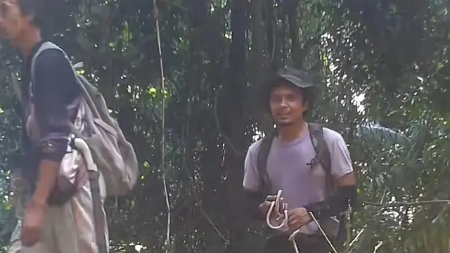 Viral Video Macan Tutul Jawa Pincang Diduga Diburu, 5 Orang Ditangkap