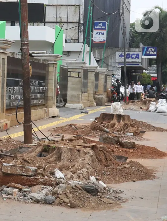 Pejalan kaki melintas di pinggir bekas tebangan pohon, di trotoar kawasan Cikini, Jakarta, Selasa (5/11/2019). Dinas Kehutanan DKI Jakarta menebang pohon di seberang Stasiun Cikini dan akan mengganti pohon angsana dengan yang tidak merusak konstruksi pedestrian. (Liputan6.com/Herman Zakharia)