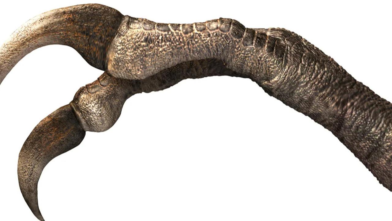 Terkubur di Bawah Gurun, Cakar Dinosaurus Terbesar Ini Terawetkan Sempurna Selama Jutaan Tahun