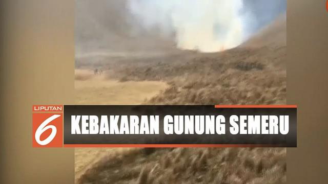 Berita Gunung Semeru Hari Ini Kabar Terbaru Terkini Liputan6 Com Page 7
