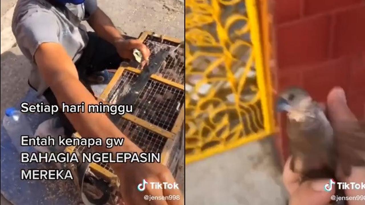 Netizen Borong Burung Lalu Dilepaskan di Depan penjual ini Viral