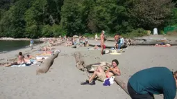 Pantai Wreck berlokasi di ujung barat Vancouver, Kanada. Wreck merupakan pantai nudis terbesar dan tertua di Kanada. Pantai ini bahkan sempat dinominasikan sebagai salah satu dari 'Tujuh Keajaiban Kanada'.(staticflickr.com)