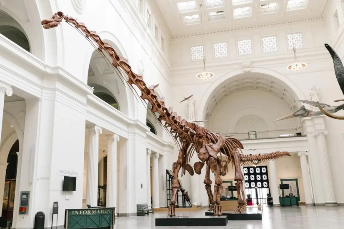 Dinosaurus Terbesar di Bumi