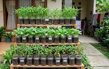 8 Cara Membuat Kebun Sayur Vertikal dari Toples Bekas, Ide Bercocok Tanam Minimalis