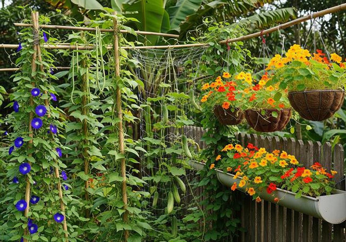 5 Jenis Tanaman yang Cocok untuk Kebun Vertikal Kecil di Lingkungan Tropis Indonesia