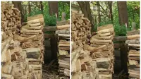 Temukan Kucing di Gambar Tumpukan Kayu Ini dalam 7 Detik, Coba Pakai Timer!