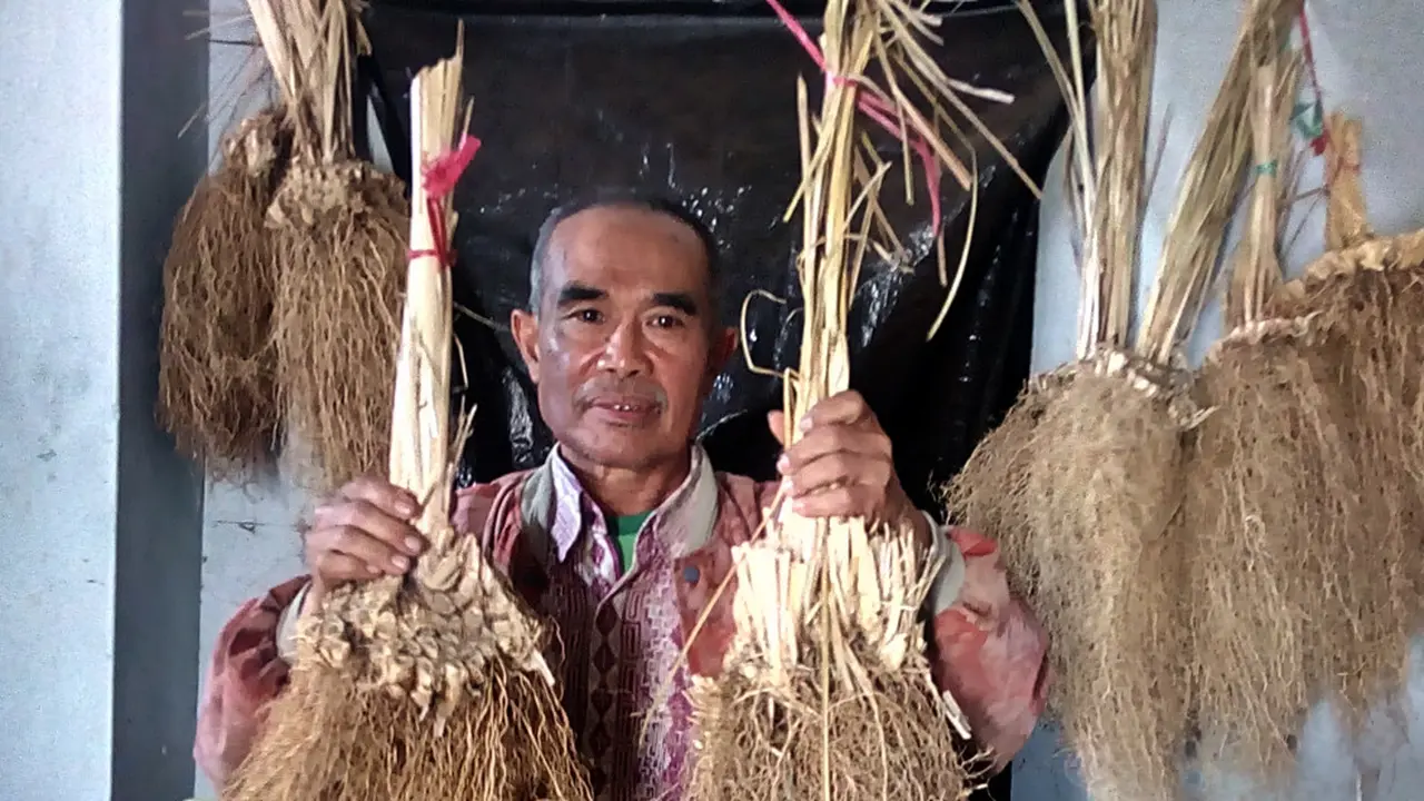 Minyak akar wangi Garut