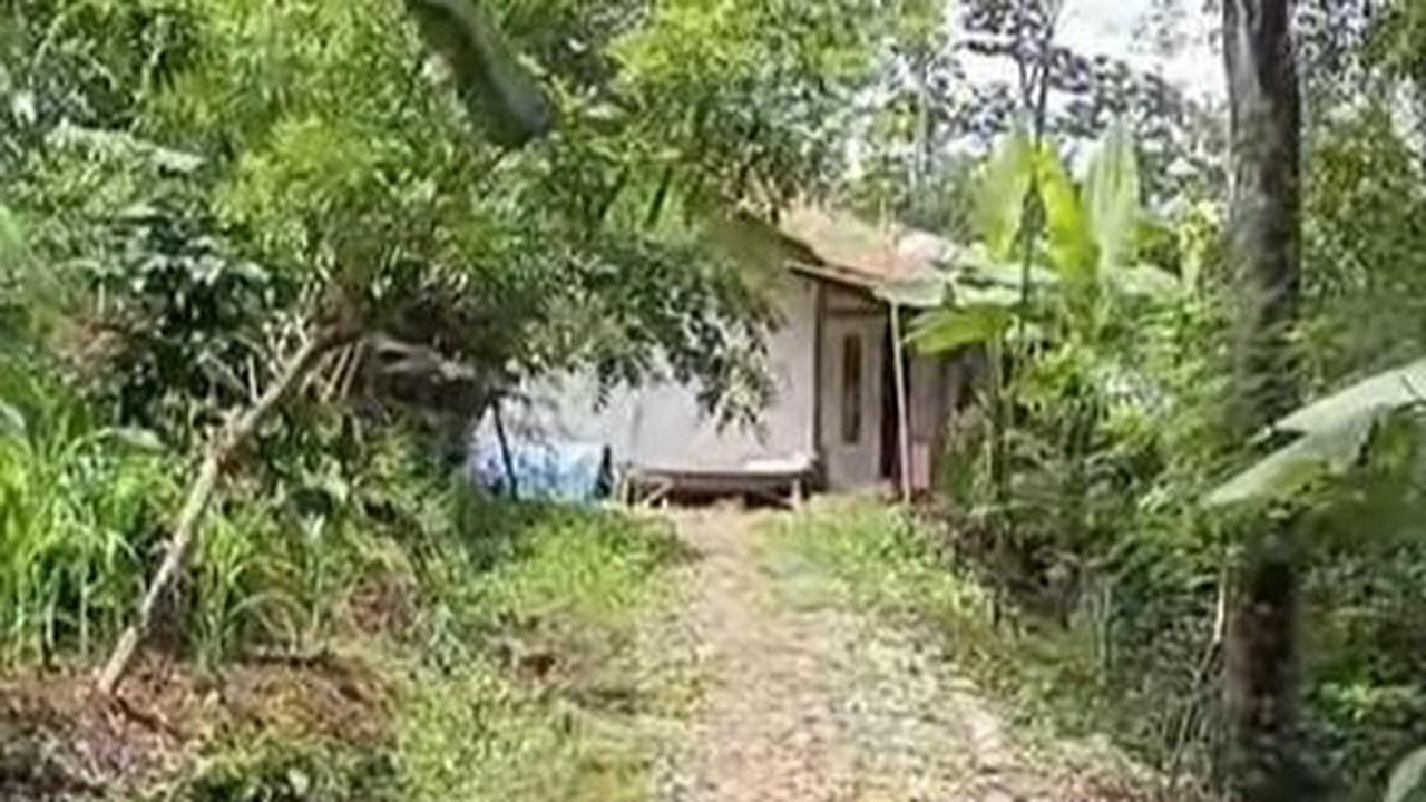 Purnawirawan TNI AL Tinggal di Tengah Hutan