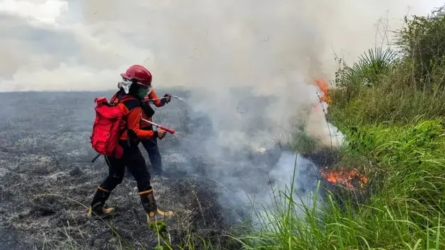 Pemadaman kebakaran hutan di Taman Nasional Rawa Aopa beberapa waktu lalu.