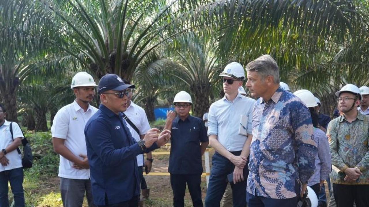 PTPN IV PalmCo Wujudkan Industri Sawit Berkelanjutan dengan 3 Pilar Utama, Raih Apresiasi Uni Eropa