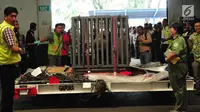 Petugas menjaga kedatangan dua ekor panda dari China di Terminal Kargo, Bandara Soekarno-Hatta, Tangerang, Kamis (28/9). Kedua panda yang dipinjamkan untuk pengembangbiakan di Indonesia akan menempati Taman Safari Indonesia. (Liputan6.com/Helmi Afandi)