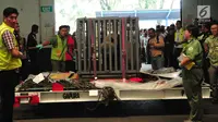 Kapan Panda Cai Tao dan Hu Chun Bisa Dilihat di Taman Safari?