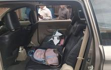 Maling Spesialis Pecah Kaca Mobil Gasak Ponsel dan Laptop, Akhirnya Ditangkap Polisi