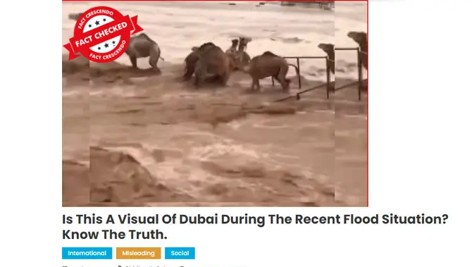 <p>Penelusuran  klaim video unta hanyut saat banjir di Dubai.</p>.html