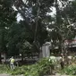 Suasana saat petugas memangkas dahan pohon yang rimbun di sepanjang Jalan Lenteng Agung Raya, Jakarta Selatan, Rabu (2/1). Pemangkasan dilakukan guna mencegah pohon tumbang akibat musim hujan dan angin kencang. (Liputan6.com/Immanuel Antonius)