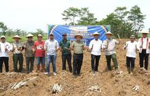 Kementan Tinjau Kebun SGN, Bongkar Ratoon Jadi Kunci Pengawasan Distribusi Gula Nasional