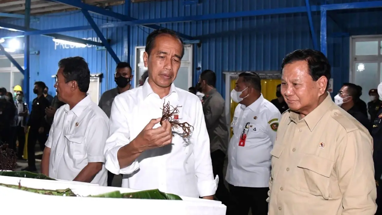 Ditemani Menhan Prabowo Subianto, Presiden Jokowi Tinjau Pengolahan Budidaya Rumput Laut di Maluku