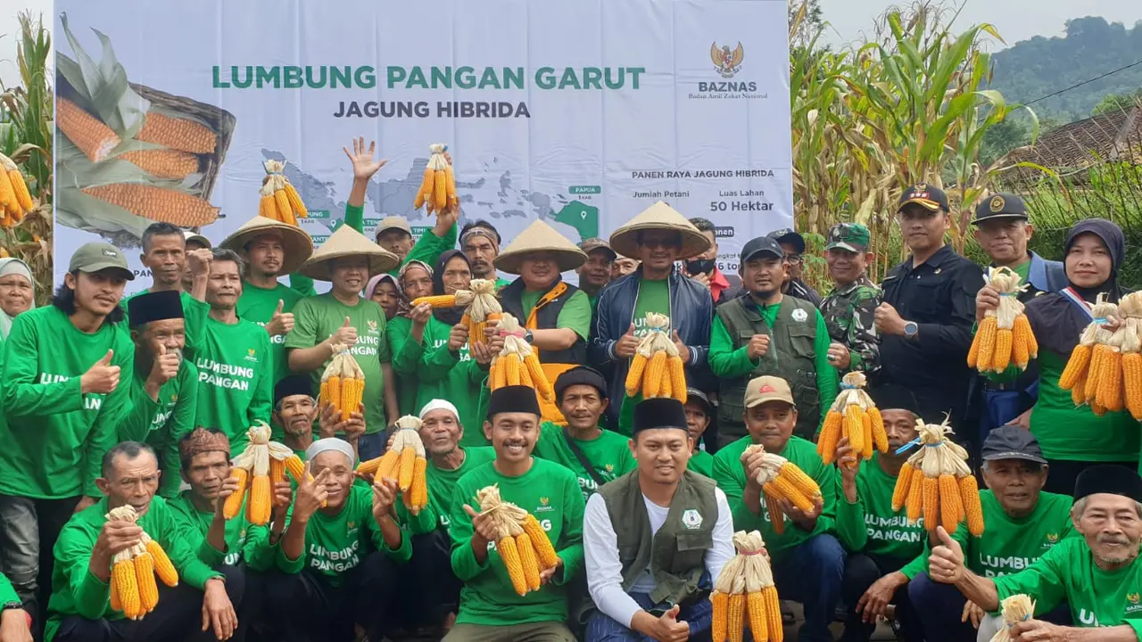 Rizaludin Kurniawan, salah satu pimpinan Baznas RI, bersama Bupati Garut Rudy Gunawan dan perwakilan petani dalam panen raya jagung program lumbung pangan Banzas RI di Desa Mulayajaya, Banjarwangi. (Liputan6.com/Jayadi Supriadin)