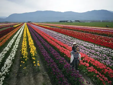 Seorang pria menggendong seorang perempuan di punggungnya saat berpose untuk foto di Festival Tulip Abbotsford di Lakeland Flowers, di Abbotsford, British Columbia, Rabu, 3 Mei 2023. (Darryl Dyck/The Canadian Press via AP)