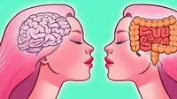 Antara Usus dan Otak, Temuan Terbaru dalam Ilmu Kesehatan Ini Tak Terduga