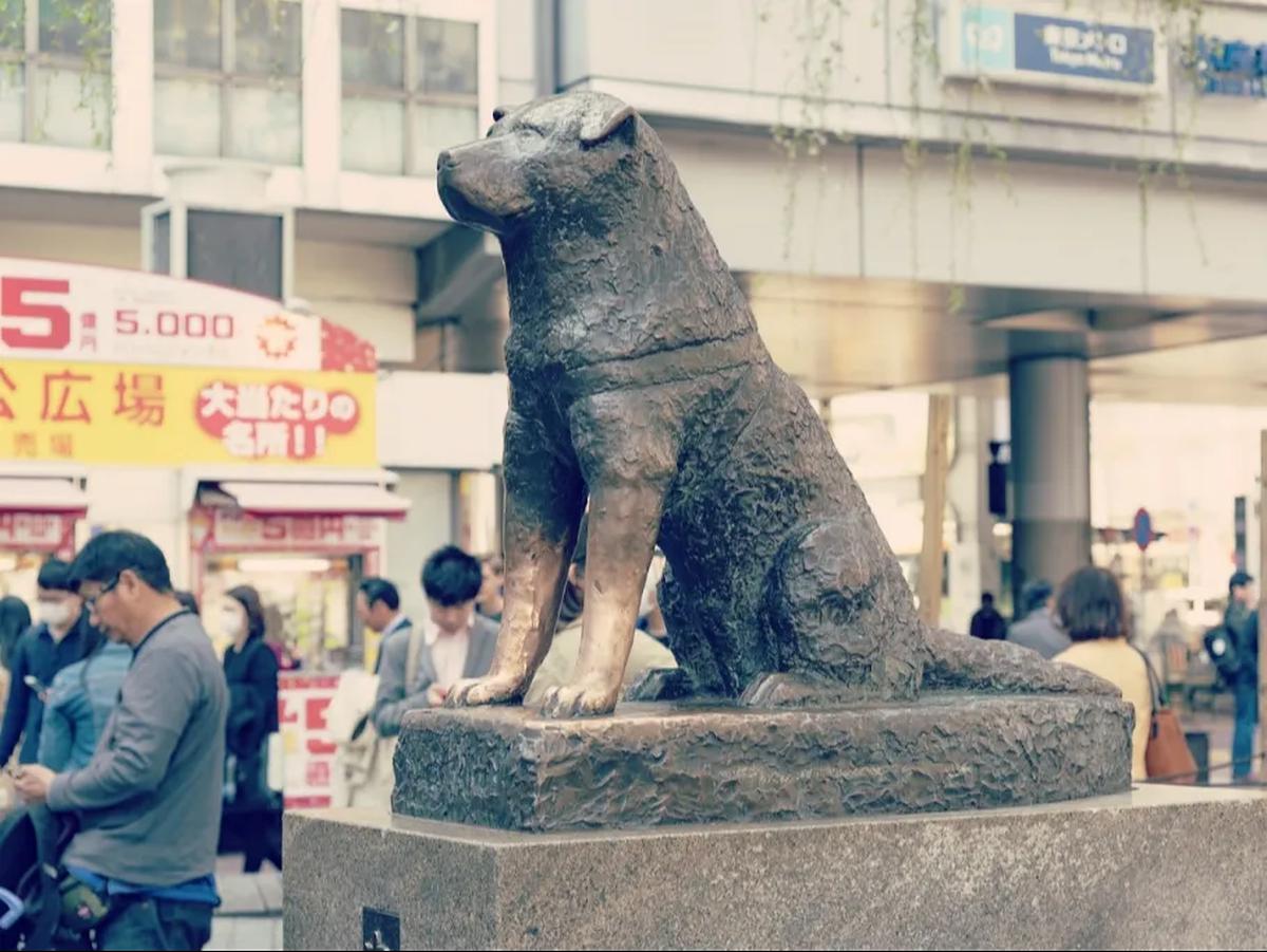 4. Tempat Janjian Populer di Shibuya