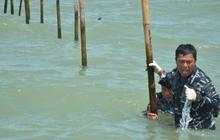 Pembongkaran Pagar Laut Tangerang Tersisa 5,26 Kilometer