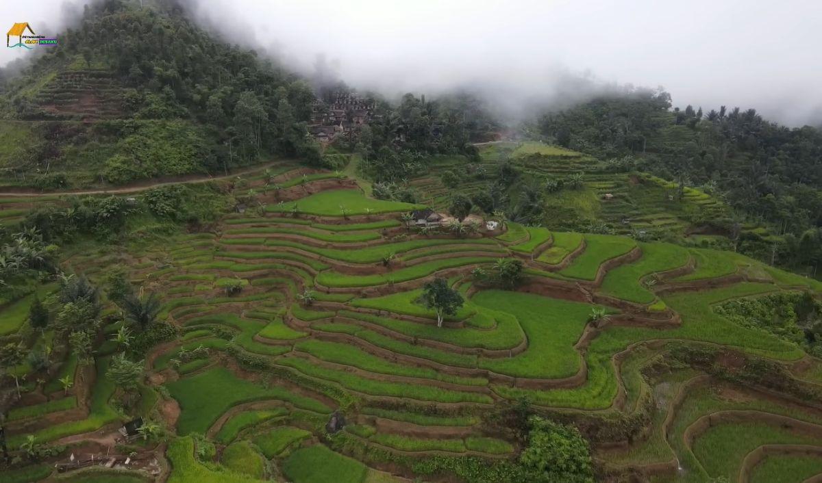 Punya Bentang Sawah yang Memanjakan Mata