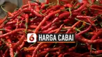 harga cabai