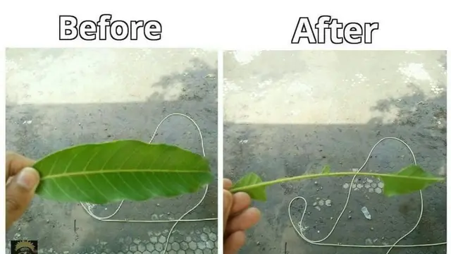 10 Potret Nyeleneh Orang Lagi Gabut Ini Tingkahnya Bikin Heran