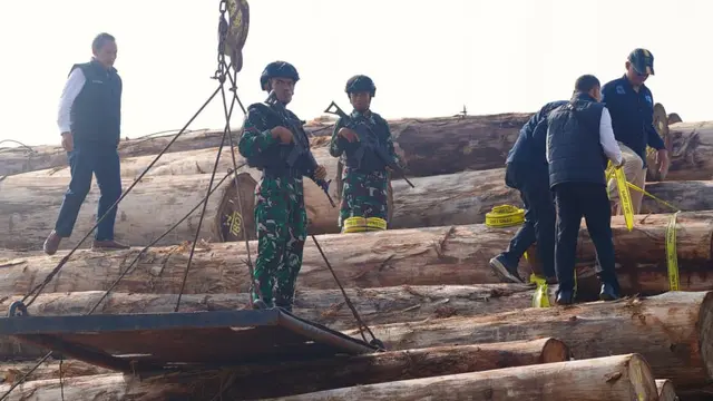 Barang bukti kayu ilegal