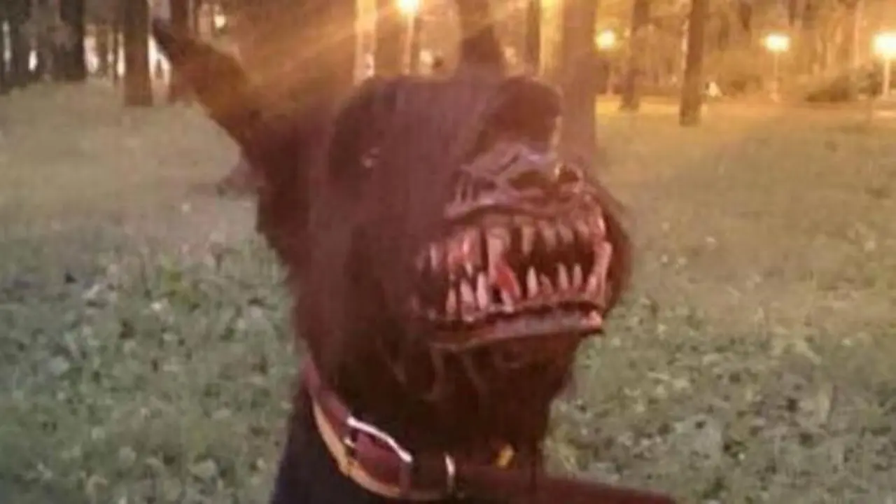 Topeng Anjing 