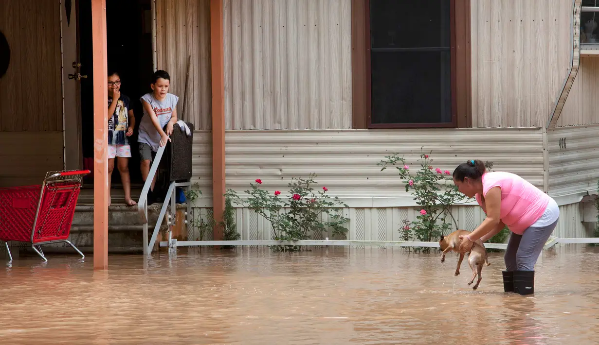 Alejandra Ventura mengangkat anjingnya dari genangan banjir yang merendam rumahnya di Richmond, Texas, Selasa (31/5). Bencana banjir terjadi lantaran Sungai Brazos meluap akibat hujan deras yang mengguyur wilayah tersebut. (REUTERS/Daniel Kramer)