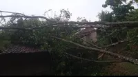 Hujan Deras dan Angin Kencang Terjang Gunungkidul, Sejumlah Rumah Rusak