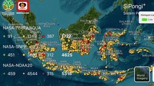 Kebakaran Hutan Kalteng-Sumsel Meluas, BNPB Ungkap Hotspot