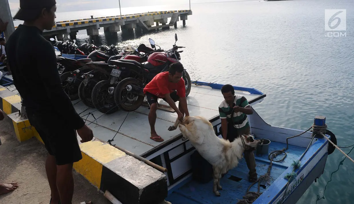Warga menurunkan seekor kambing dari kapal ketika tiba di pelabuhan Pulau Sebesi, Lampung, Senin(31/12). Dari Sebesi ke Dermaga Canti, hanya ada satu kapal yang menyeberang pada pukul 07.00 WIB bertarif Rp 20.000 per orang. (Liputan6.com/Herman Zakharia)
